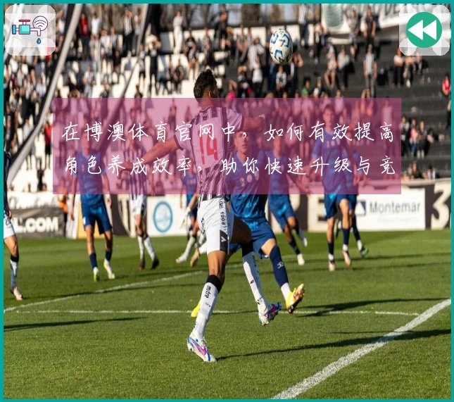 在博澳体育官网中，如何有效提高角色养成效率，助你快速升级与竞技？