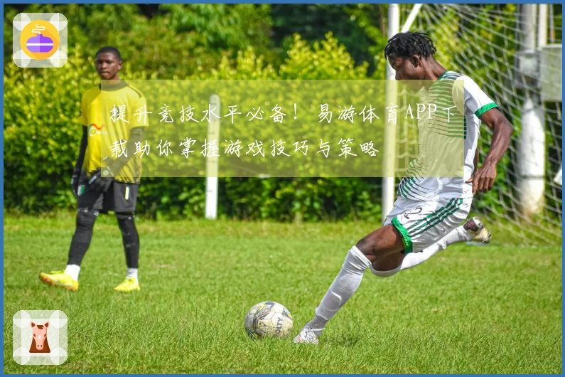 提升竞技水平必备！易游体育APP下载助你掌握游戏技巧与策略