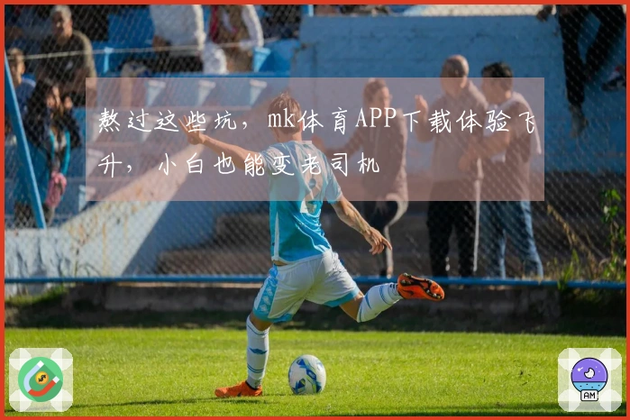 熬过这些坑，mk体育APP下载体验飞升，小白也能变老司机