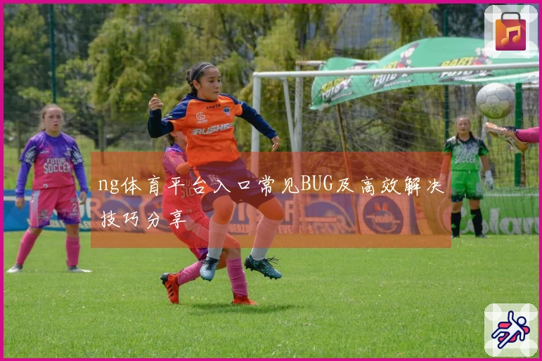 ng体育平台入口常见BUG及高效解决技巧分享